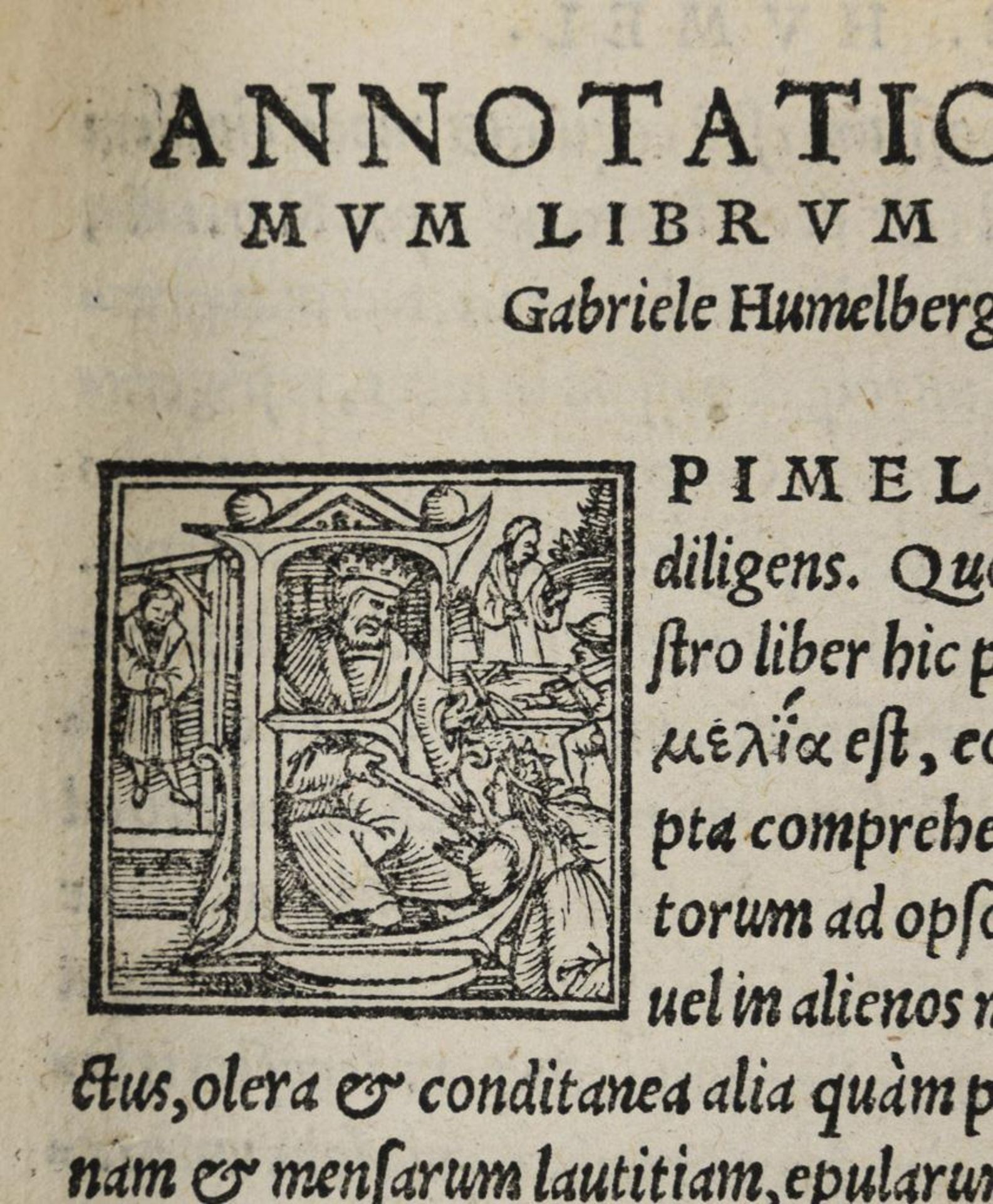 HUMELBERGIJ, Gabrielis. "Apicii Caelli de Opsoniis et condimentis, sive arte coqvinaria, libri X"... - Image 4 of 5