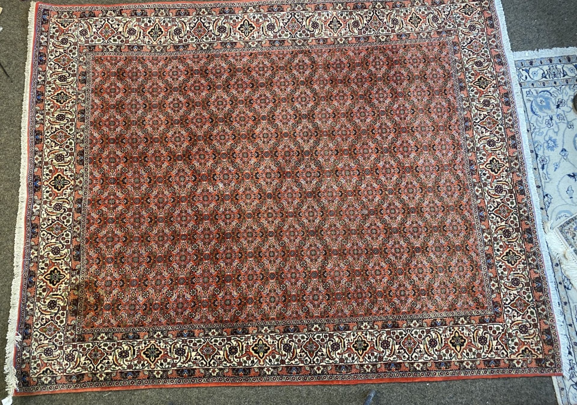 Teppich Bidjar 261x205 cm