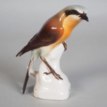 Nymphenburg porcelain, bird figurine "Shrike", 20th century.