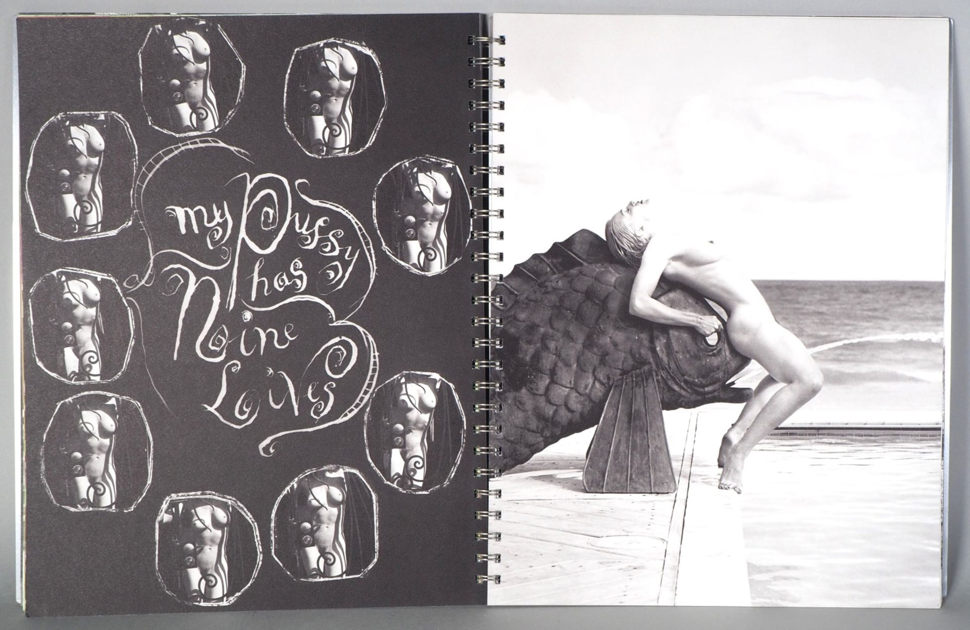 Madonna: Sex - Erotik Album, 1992 - Bild 6 aus 12