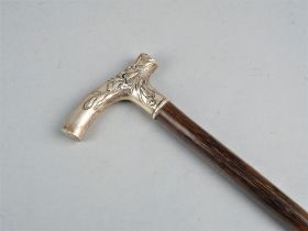 Walking stick around 1900