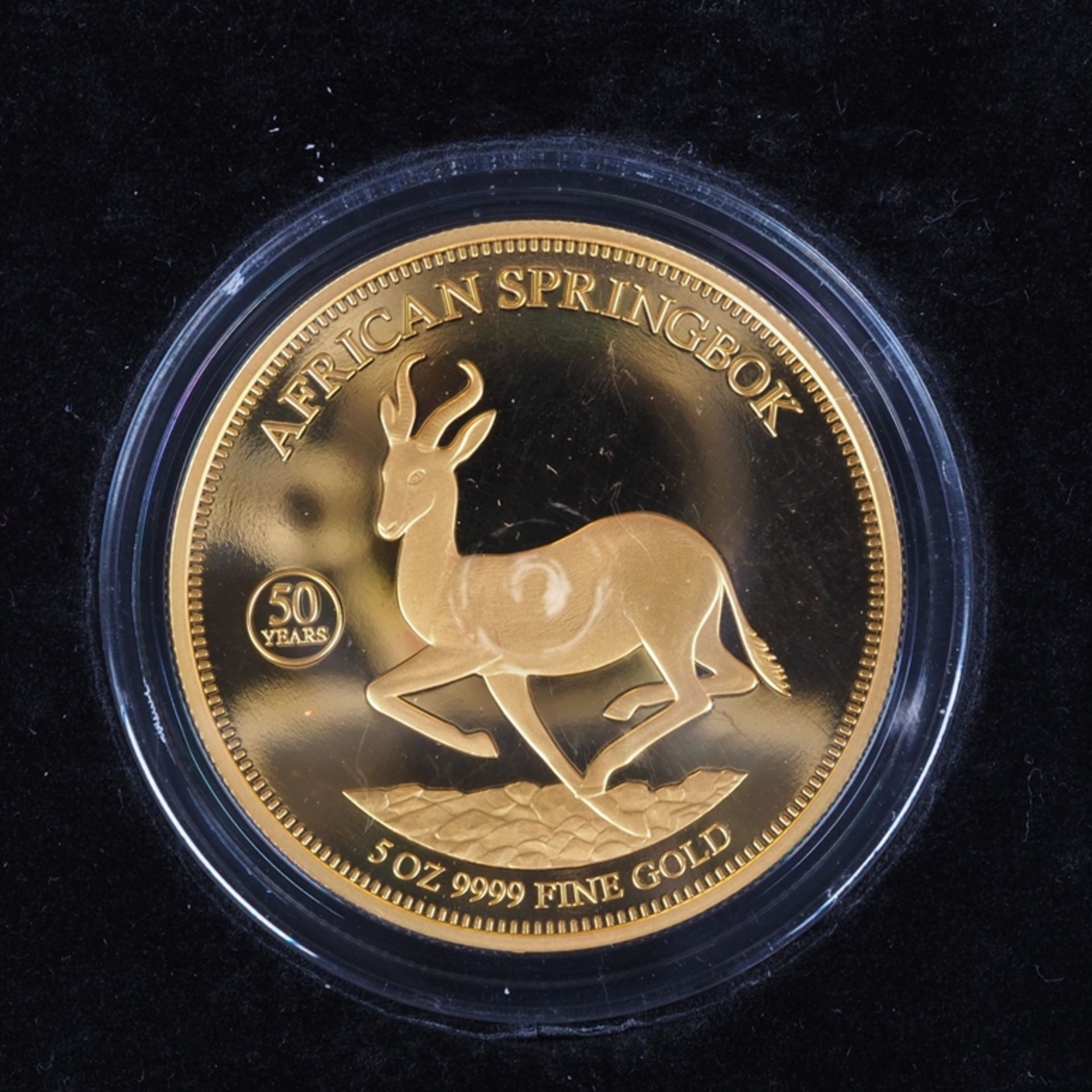 African Springbok 5 oz Gold Coin, Limited Edition - BUYER'S PREMIUM FREE - Image 2 of 4