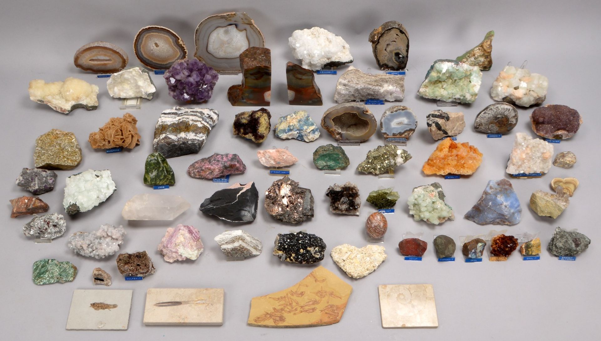 Kl. Mineralien-/Fossiliensammlung, versch. Teile und Gr&ouml;&szlig;en, Diverses