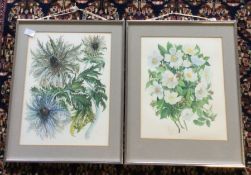ISABEL SHAW: Two framed and glazed watercolours depicting detailed flowers.