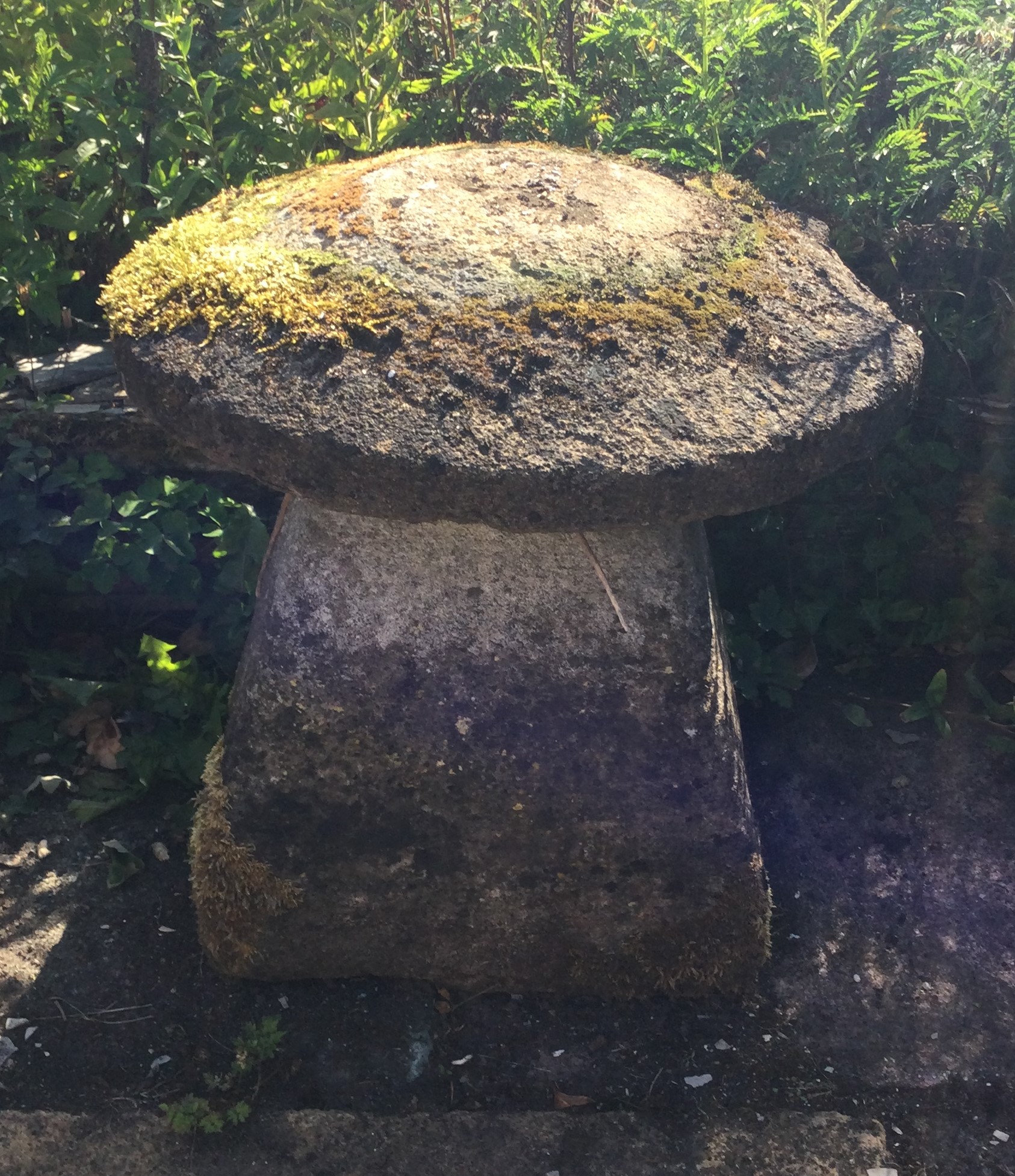 A good dumpy granite staddlestone. Buyer collects from TA20. - Image 2 of 2