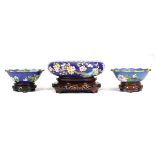A Chinese cloisonné bowl decorated with flowering shrubs on a blue ground, d. 24 cm, on a matching