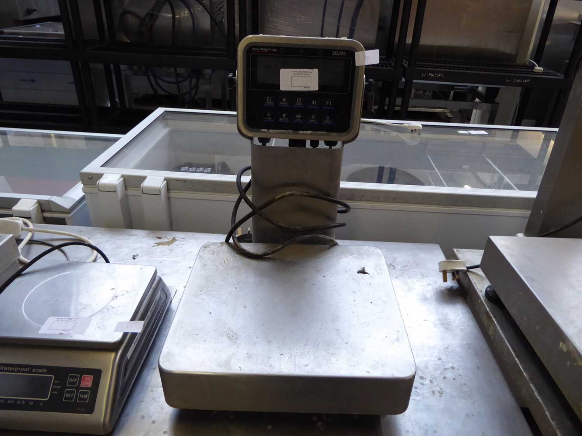 +VAT Weigh-tronix model: ZQ375 weighing scales