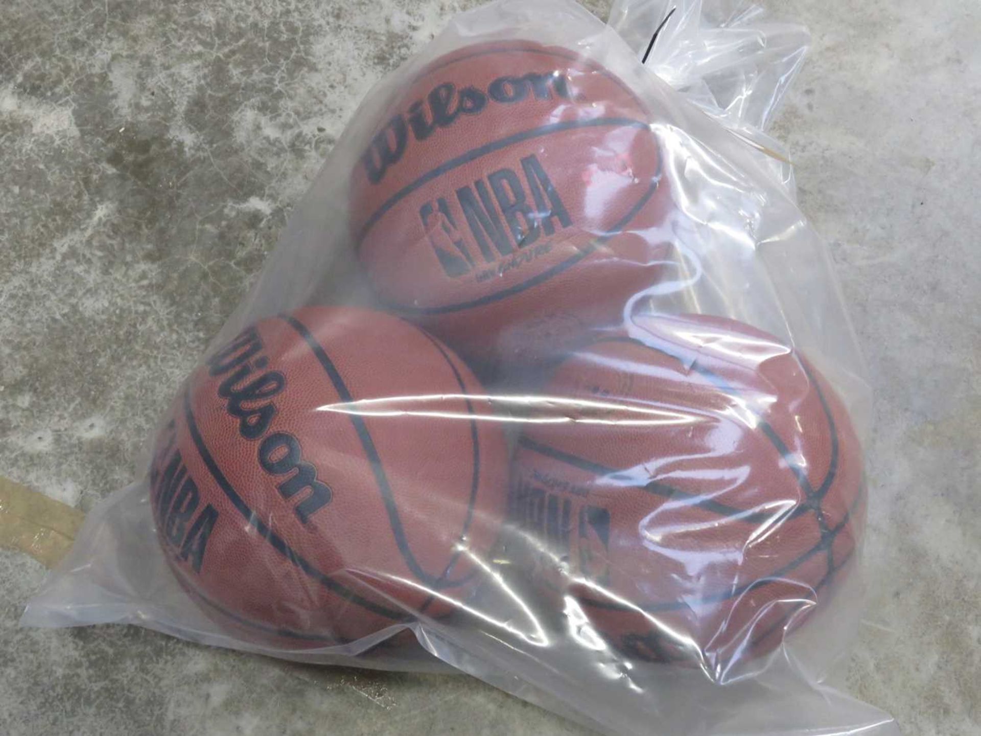 +VAT Bag containing 3 Wilson basketballs