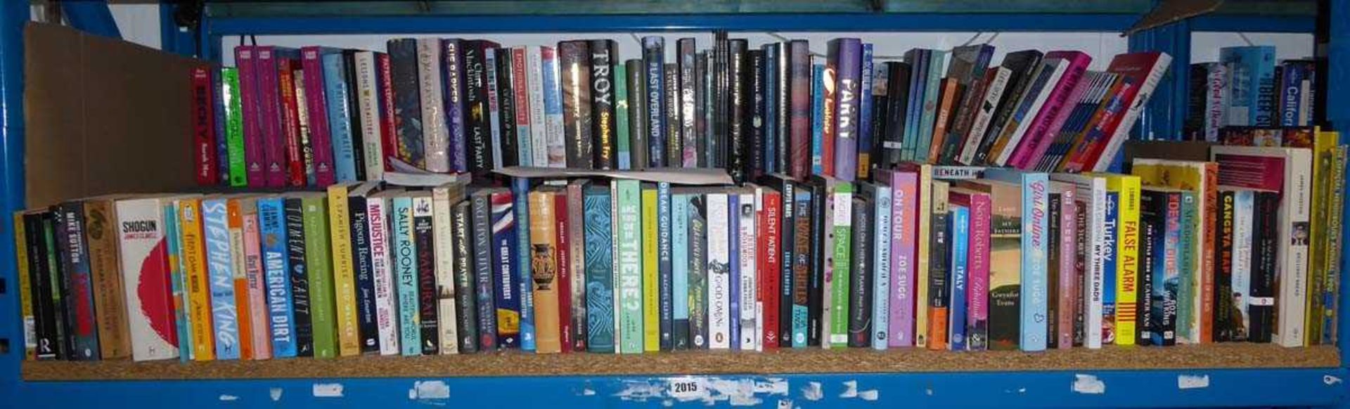 Shelf containing a large selection of hardback and paperback novels