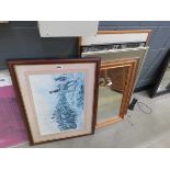 Rectangular mirror in pine frame, military print, still life with flowers and cityscapes