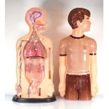 An American school anatomical teaching model, splits in half to show various internal features, h.