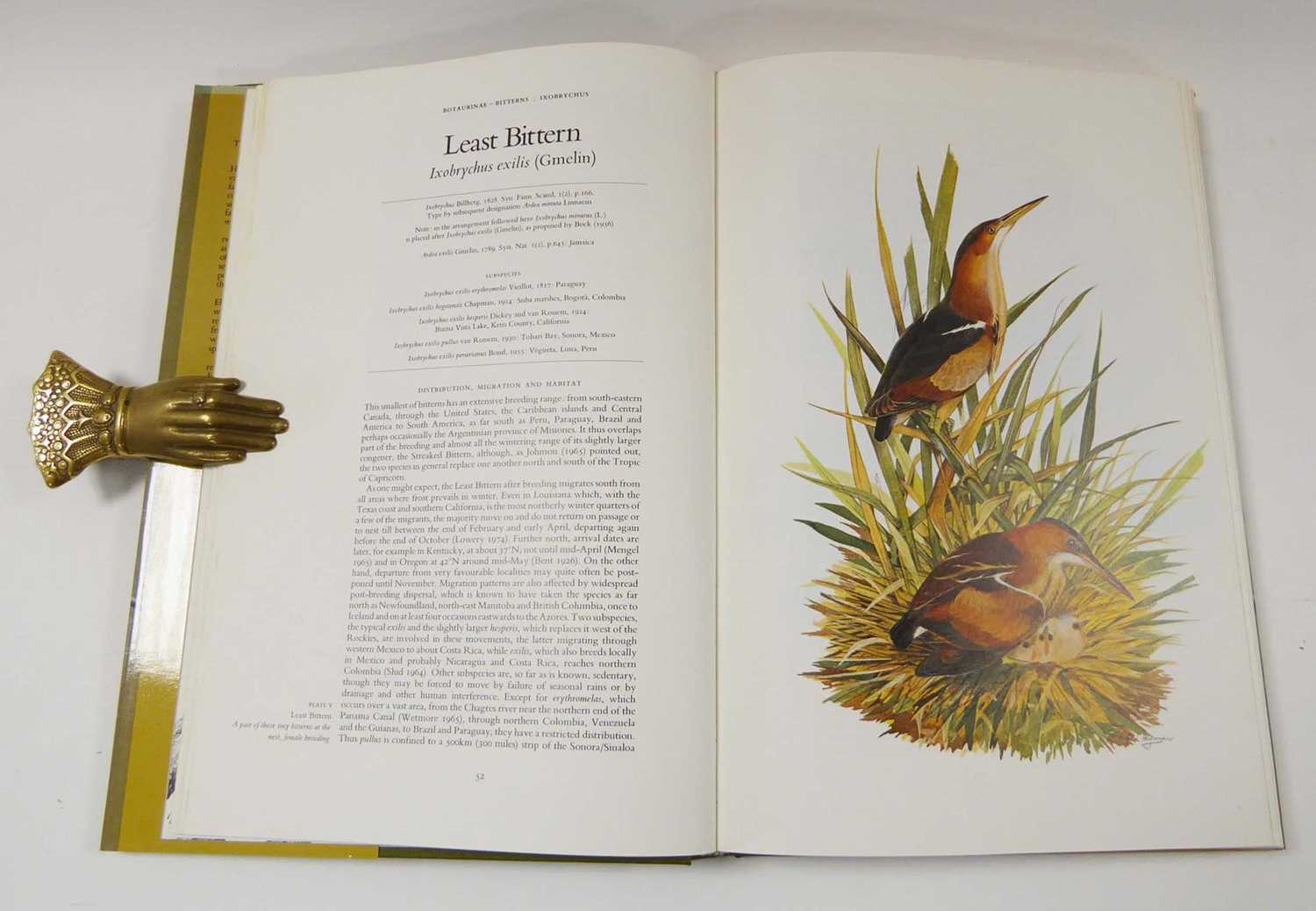 Ornithology. Hancock & Elliott : Herons of the World, 1978. Folio, Hb + Dj. 1st. Ed.; Harrison : - Image 3 of 6