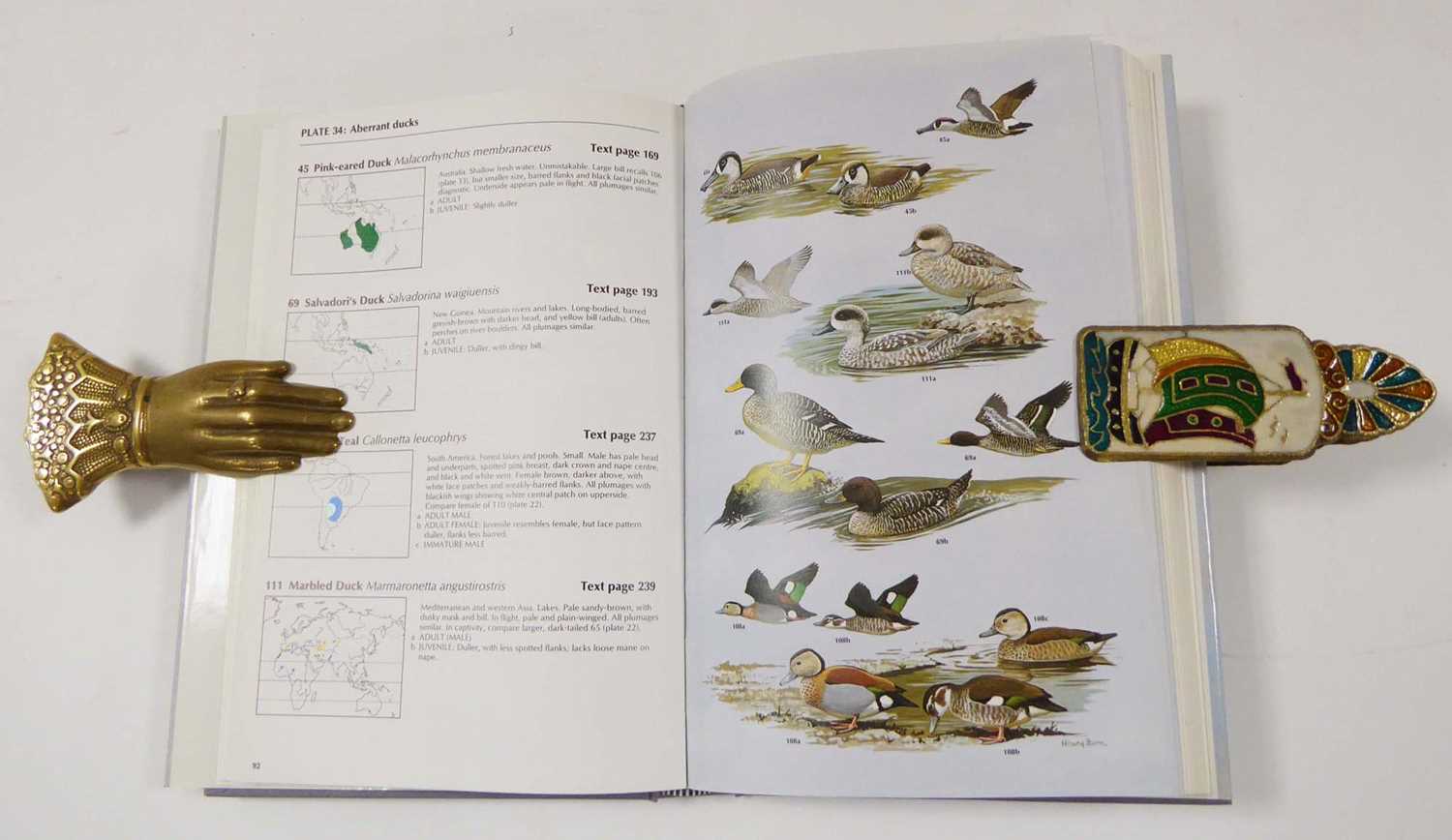 Ornithology. Hancock & Elliott : Herons of the World, 1978. Folio, Hb + Dj. 1st. Ed.; Harrison : - Image 6 of 6