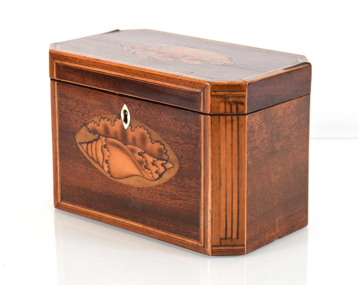 A George III mahogany and strung tea caddy inlaid with a Classical Paetera shell, the interior