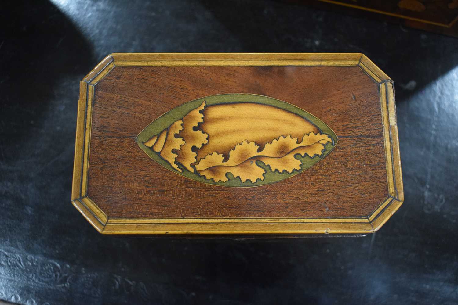 A George III mahogany and strung tea caddy inlaid with a Classical Paetera shell, the interior - Image 5 of 11