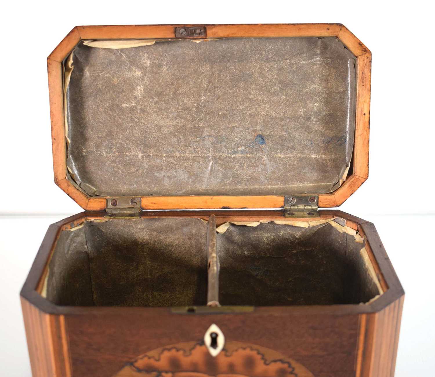 A George III mahogany and strung tea caddy inlaid with a Classical Paetera shell, the interior - Image 2 of 11