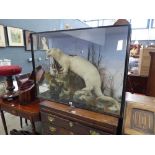 William Farren (1865-1952) of Regent Street, Cambridge: a taxidermy otter standing over its catch in