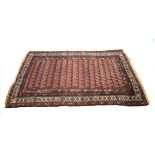 A Kurdish(?) rug, the pale red ground with repeated Boteh motifs, within matching geometric bands,