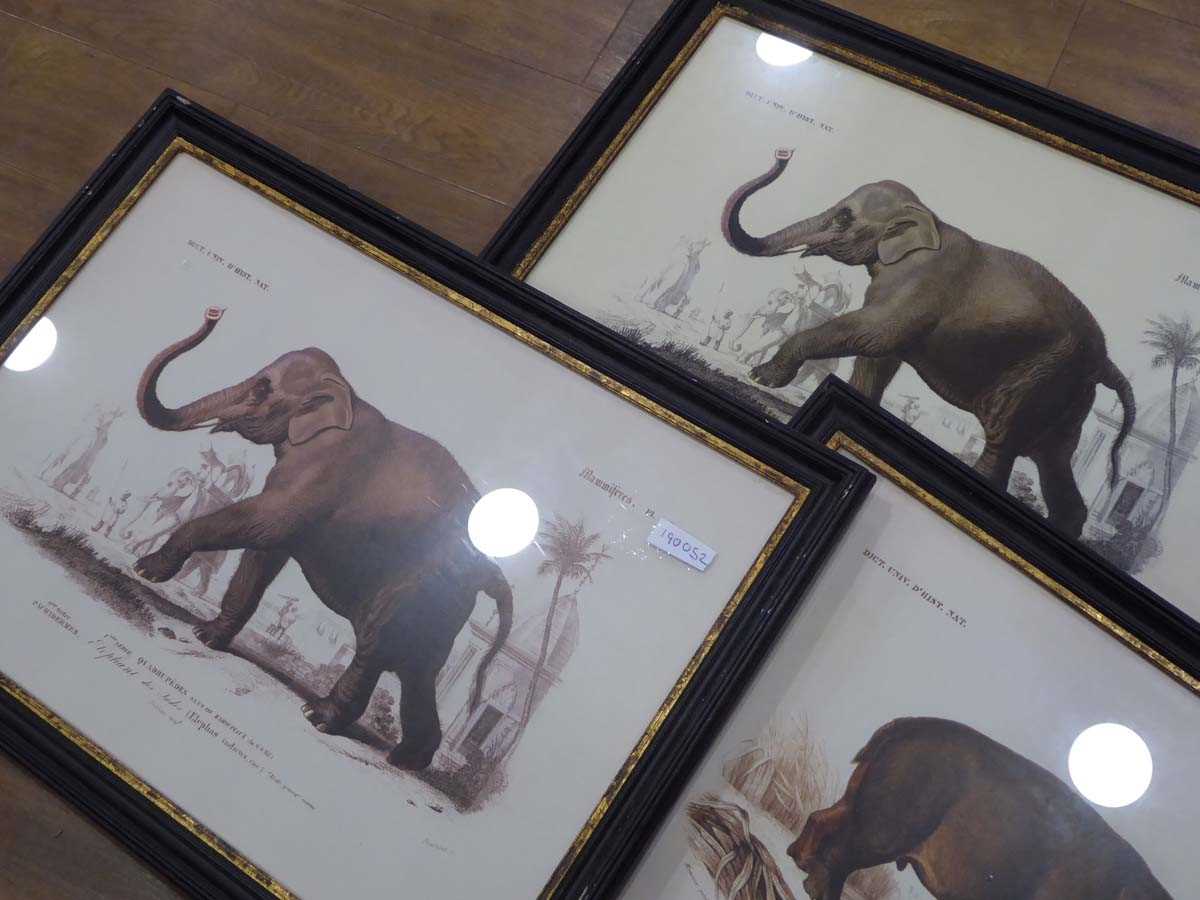 +VAT 12 various prints of safari animals - Image 4 of 5