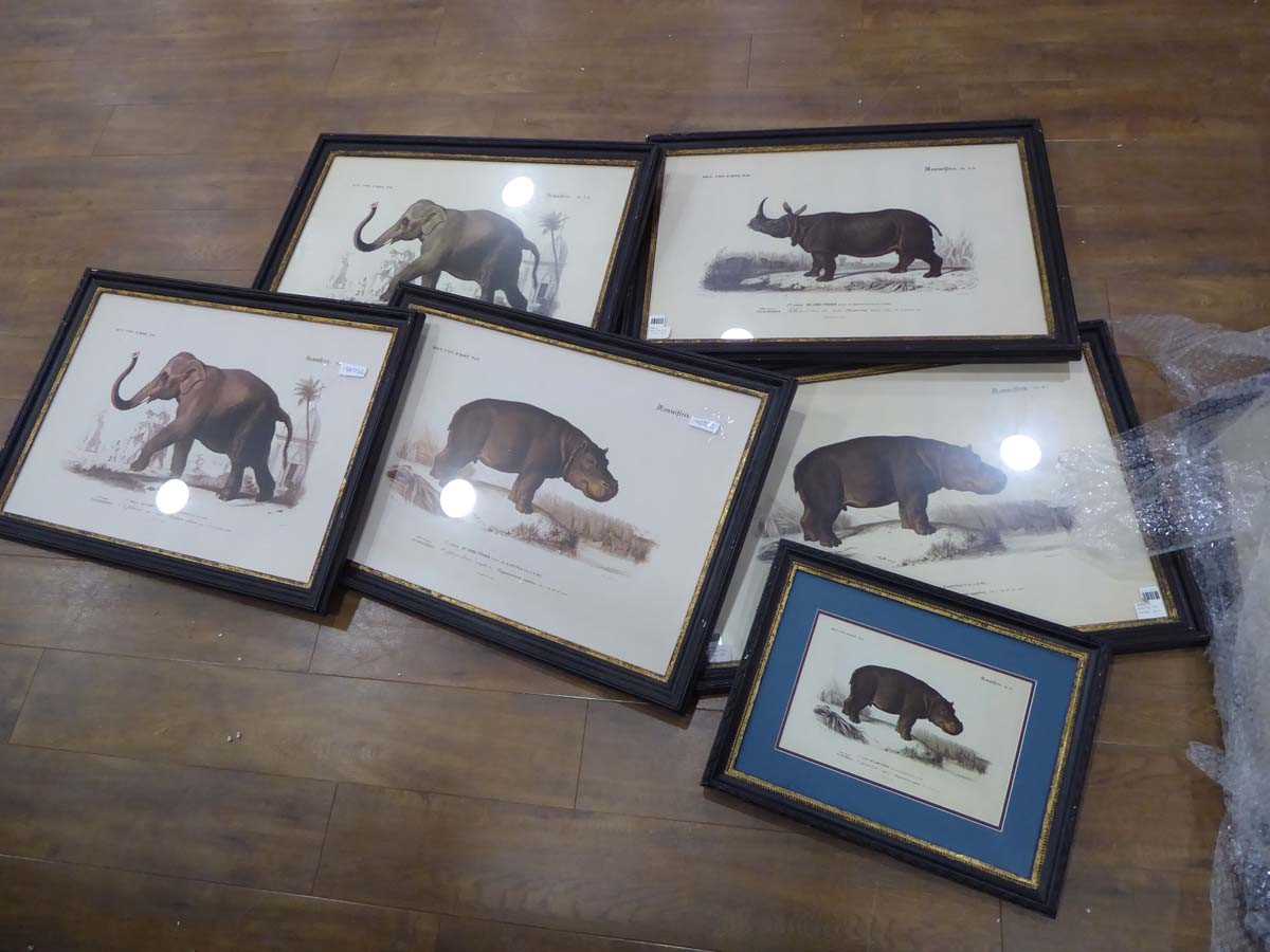 +VAT 12 various prints of safari animals