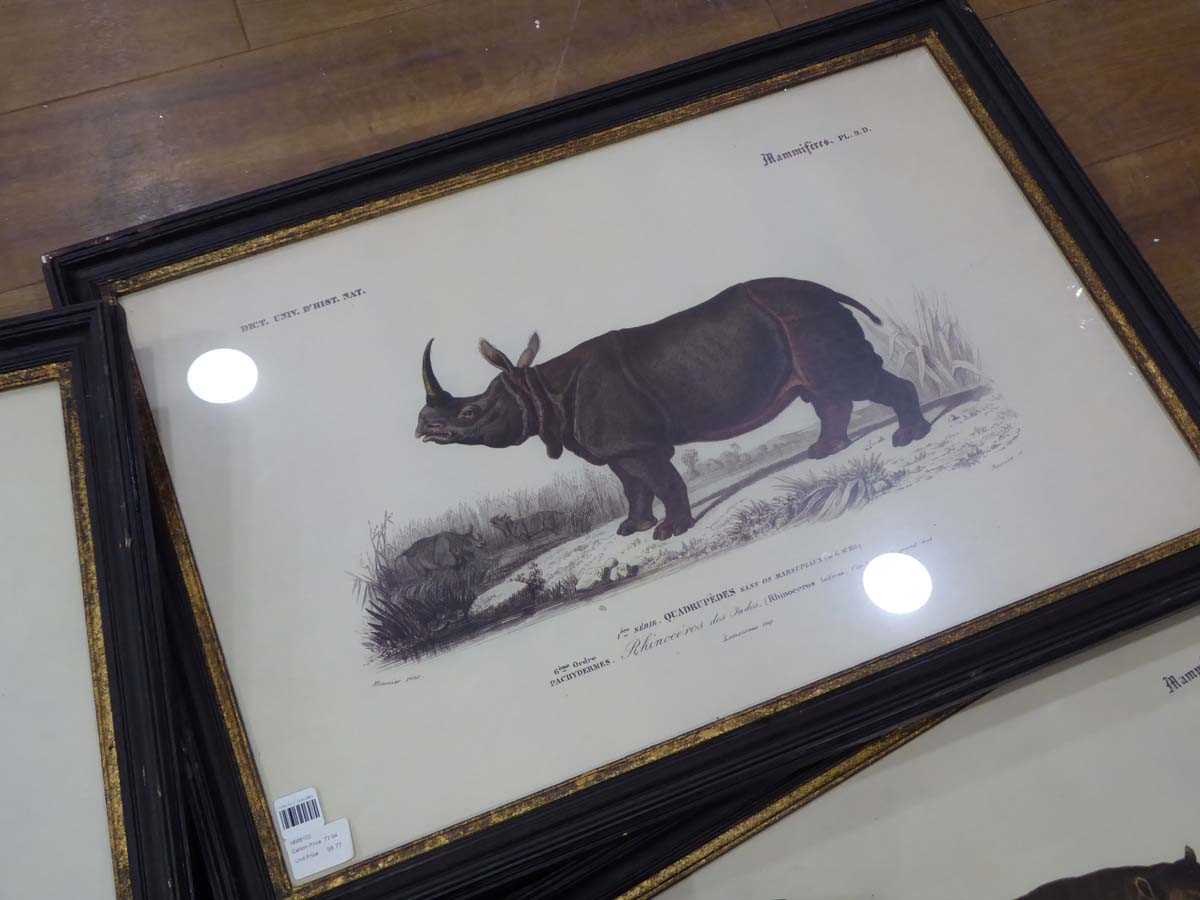 +VAT 12 various prints of safari animals - Image 5 of 5