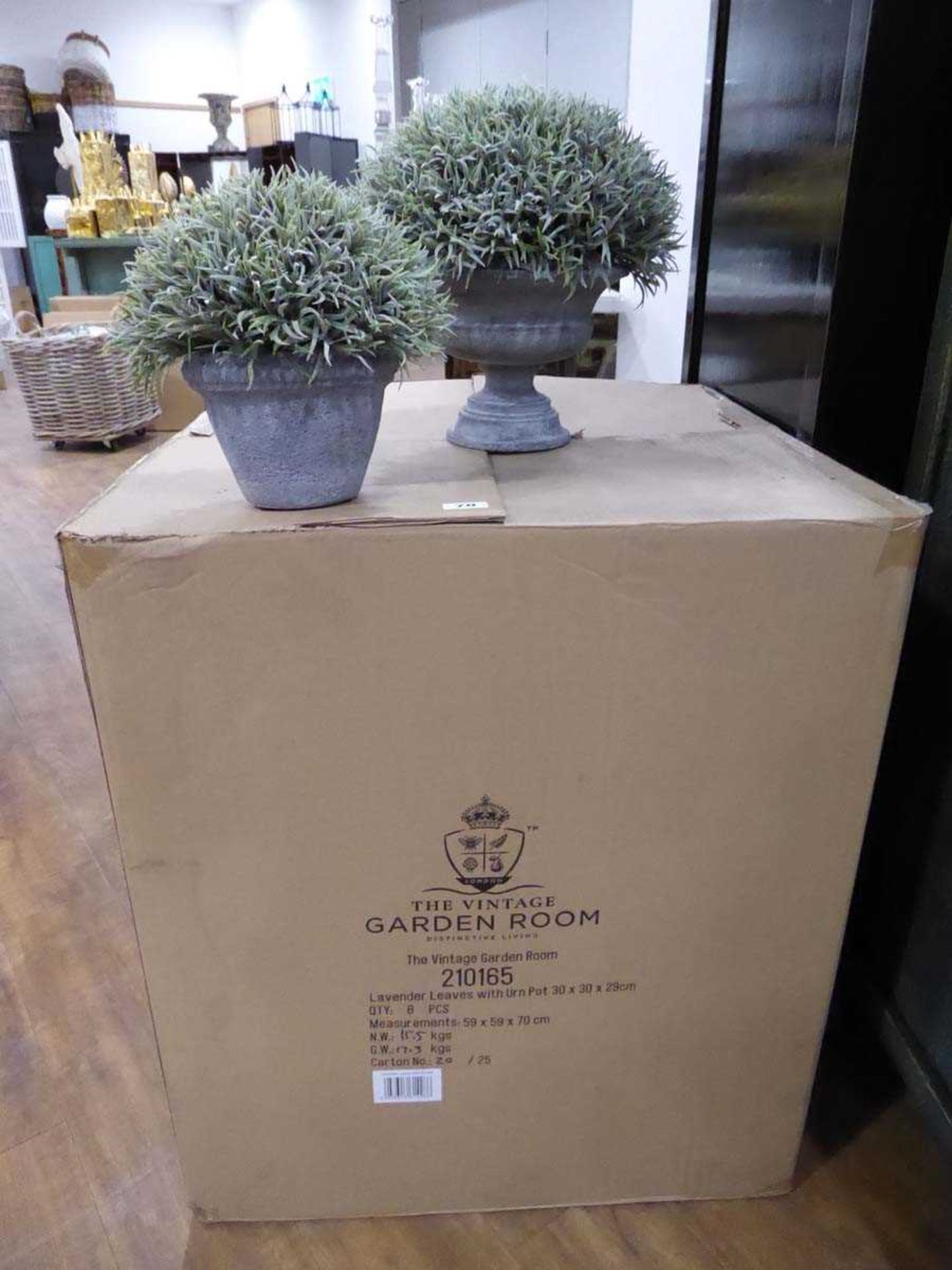 +VAT Box of faux lavender leaves with urn pots