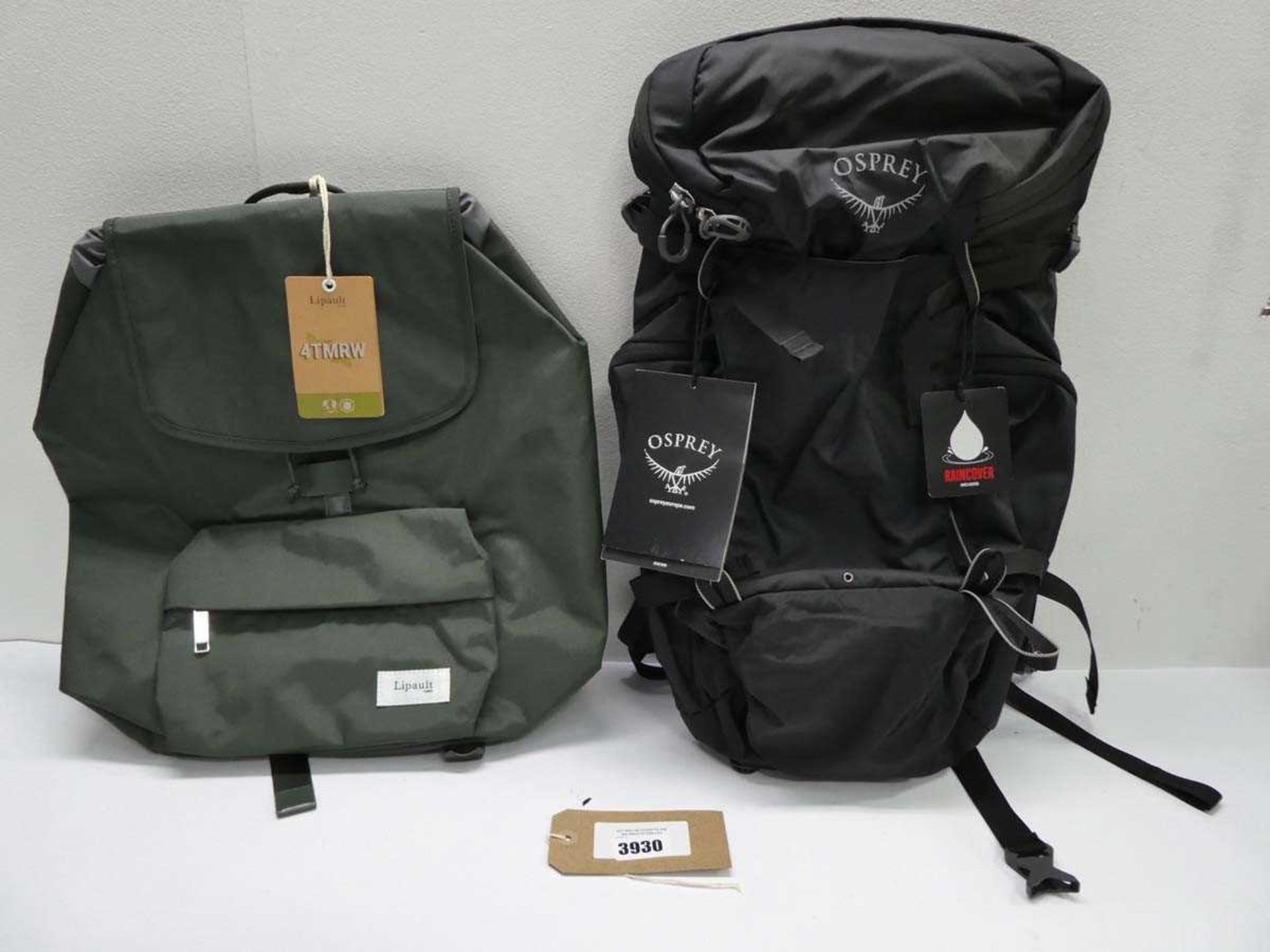 +VAT Osprey Skarab 30 backpack and Lipault daily backpack