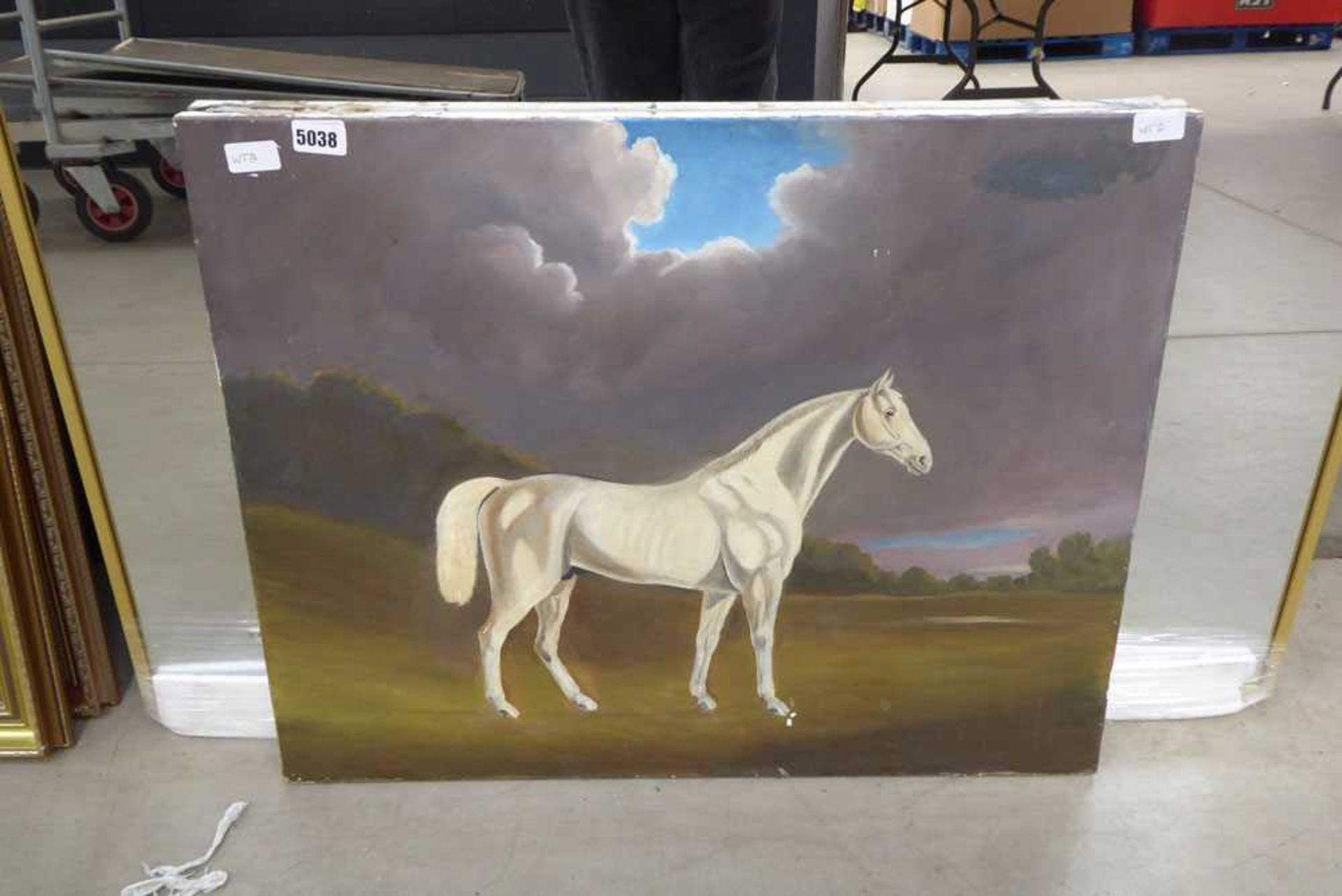 Oil on canvas, study of white horse