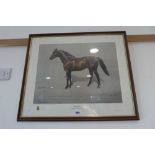 Limited edition print number 243/850 by Blenheim Fine Arts Ltd, London of Millreef race horse