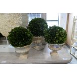 +VAT 3 artificial buxus shrubs in decorative urns