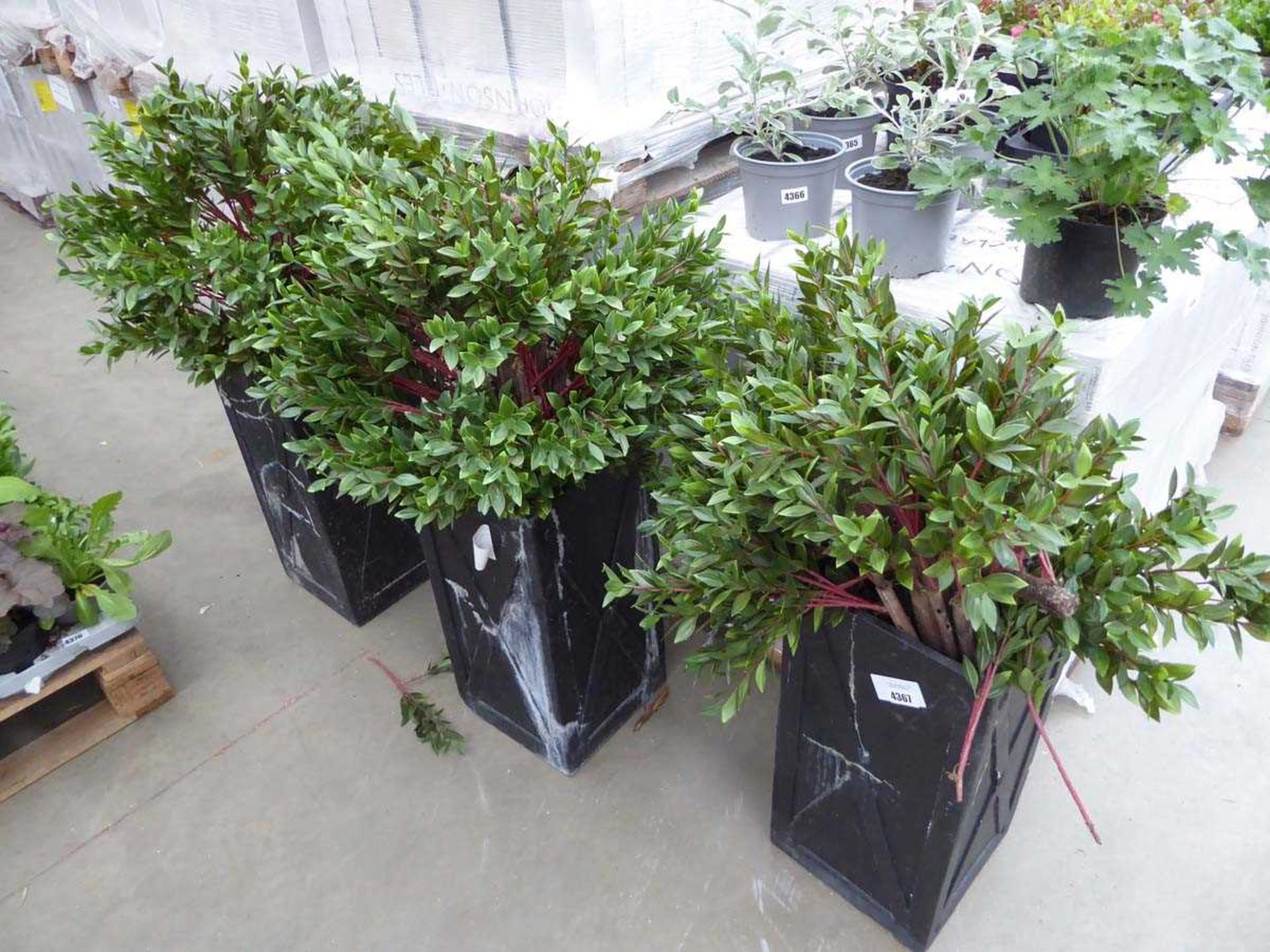 +VAT 3 artificial potted plants
