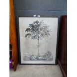 Frame and glazed print of a papaya tree