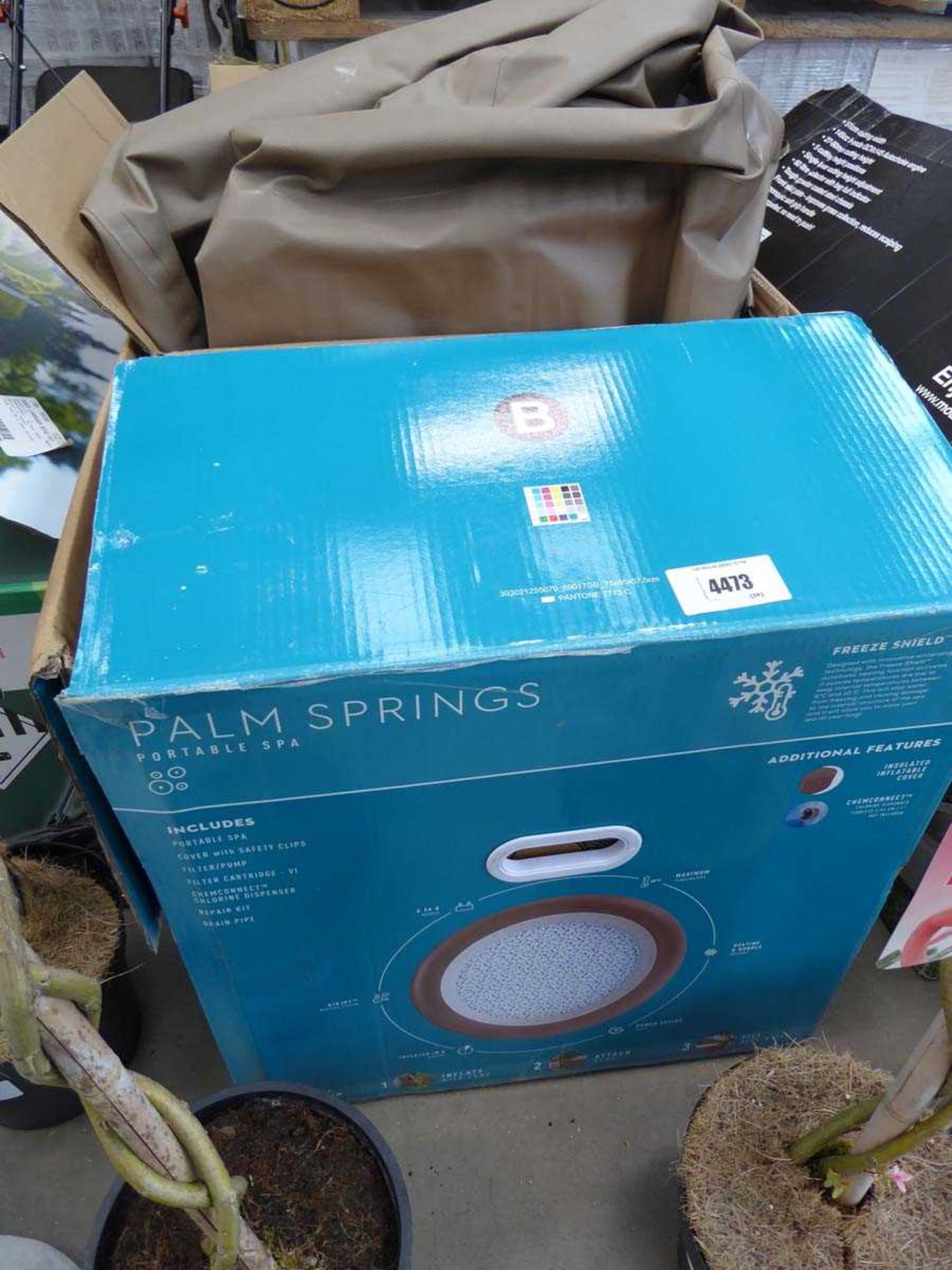 +VAT Boxed Palm Springs spa and pump