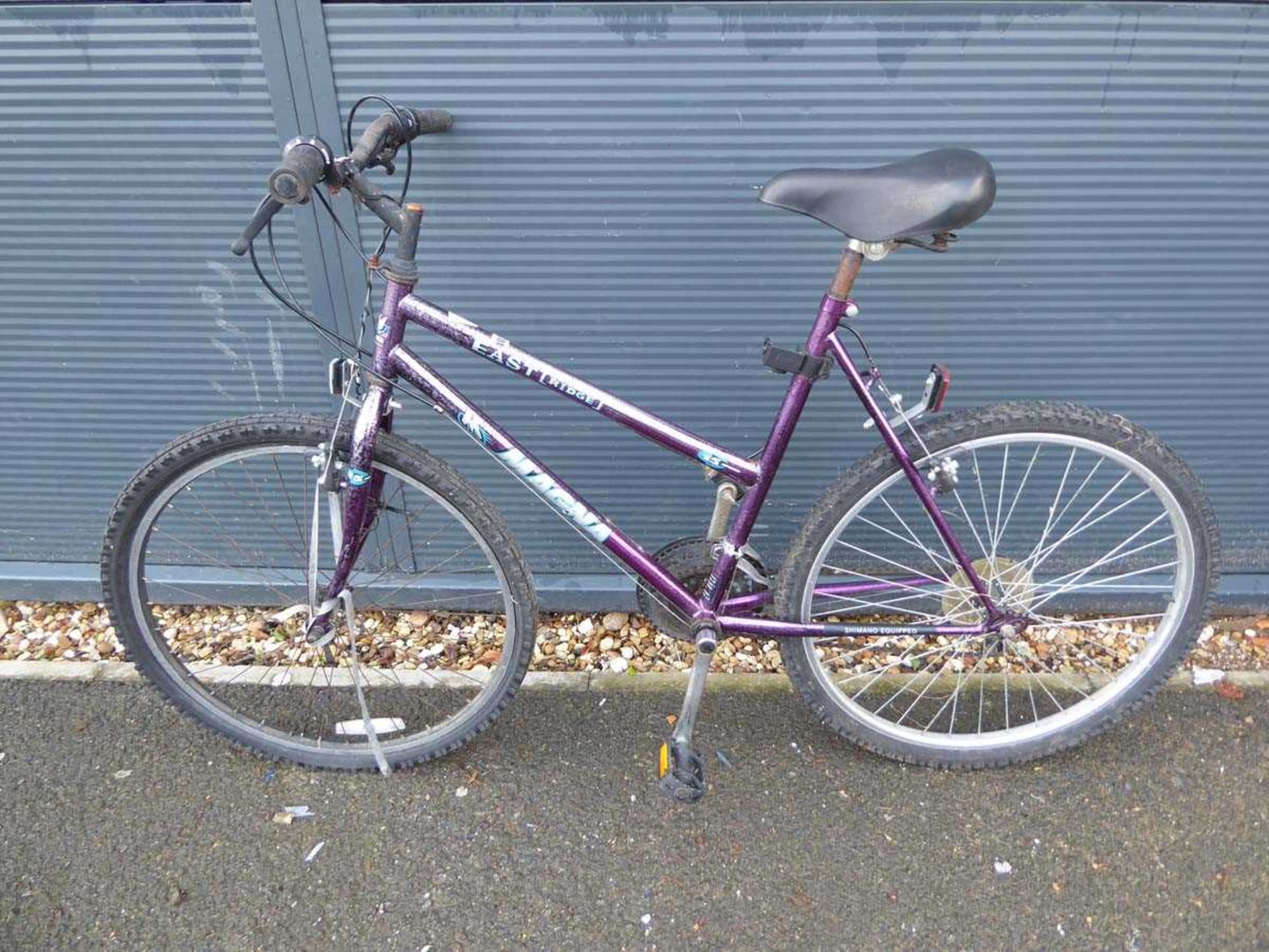 Purple Eastridge Magnum mountain bike