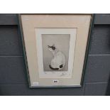 Limited edition print of cat entitled 'Tama'