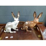 2 Winstanley hares