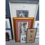 Quantity of prints to include study of cottages, girl on beach, poultry and ballerinas