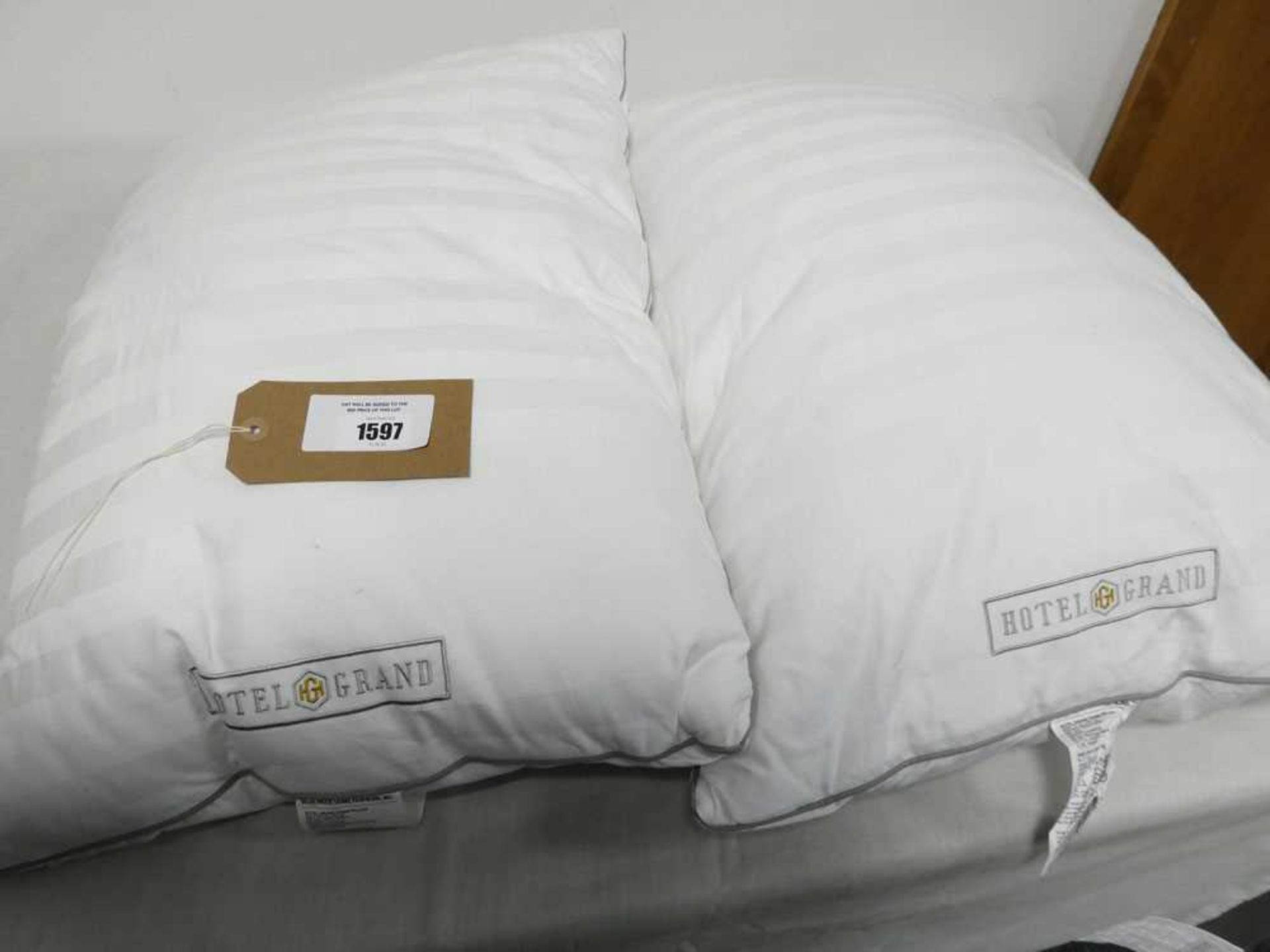 +VAT 2 Hotel Grand feather and down pillows