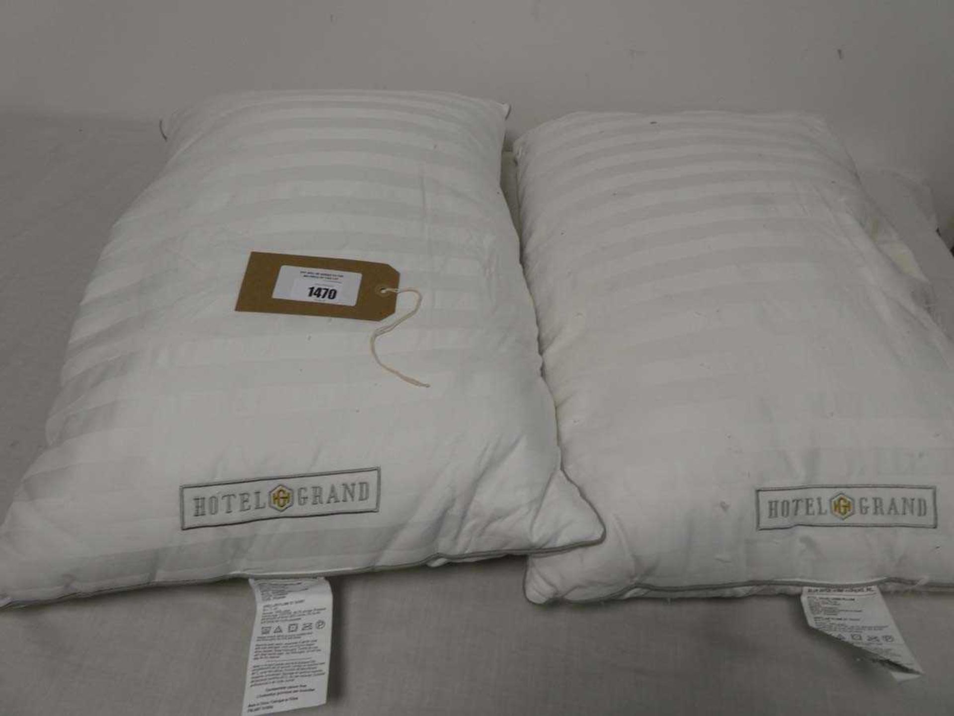 +VAT 2 Hotel Grand feather and down pillows