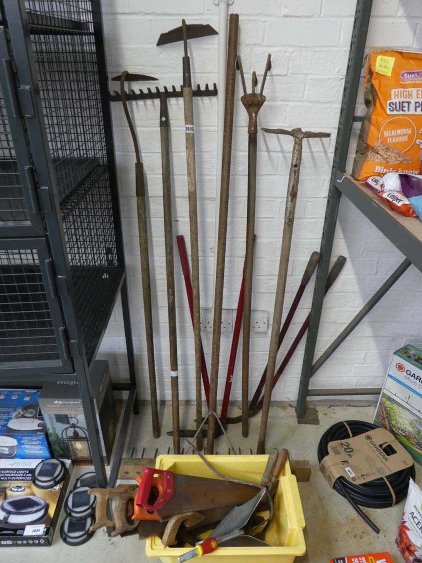 Collection of wooden handled garden tools, to include rake, hoe, garden lawn shears and box