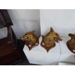 Pair of taxidermy fox masks