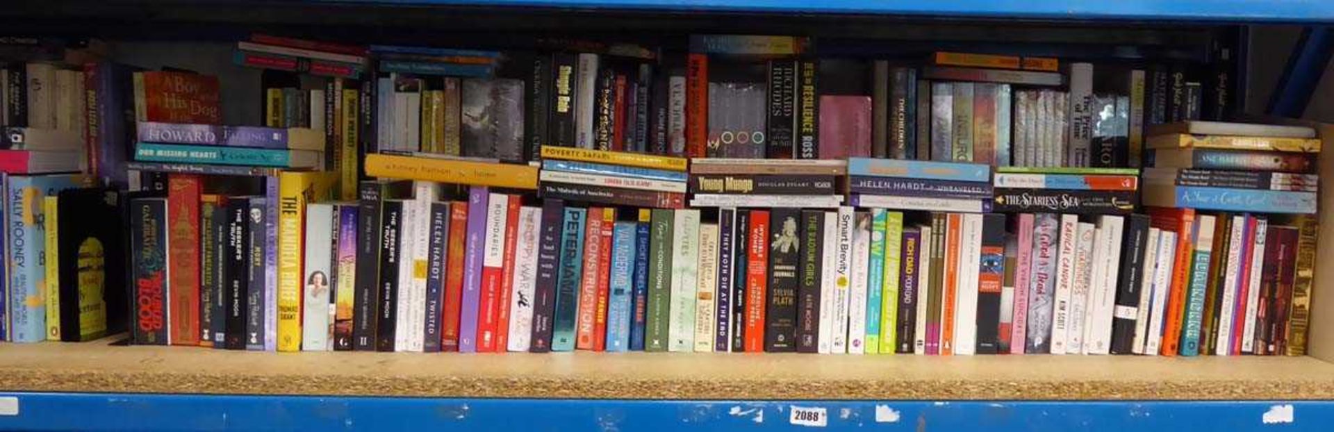 Half shelf of fiction books