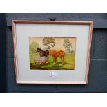 Watercolour, two horses in a field