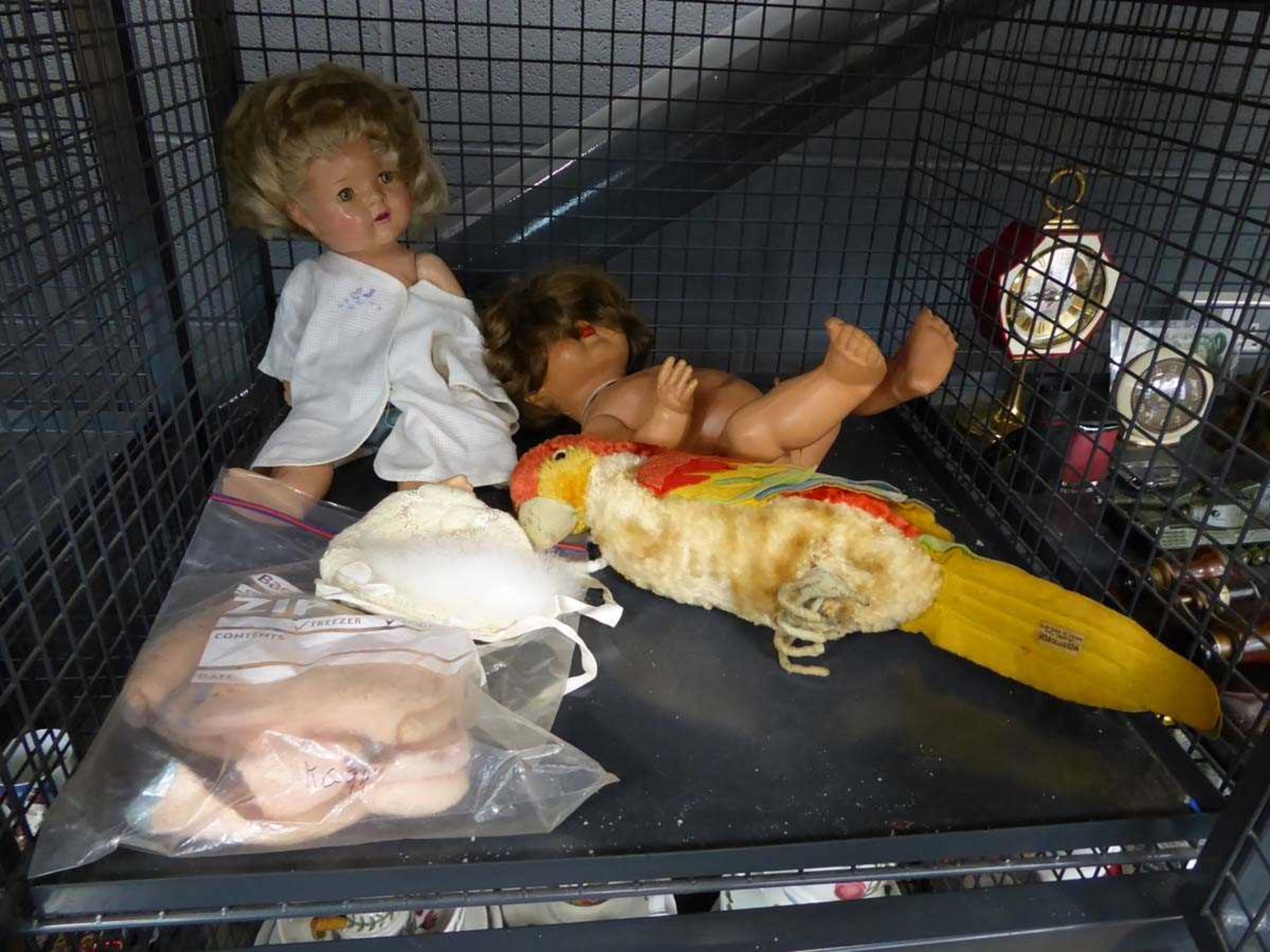 Cage of dolls and fluffy parrot
