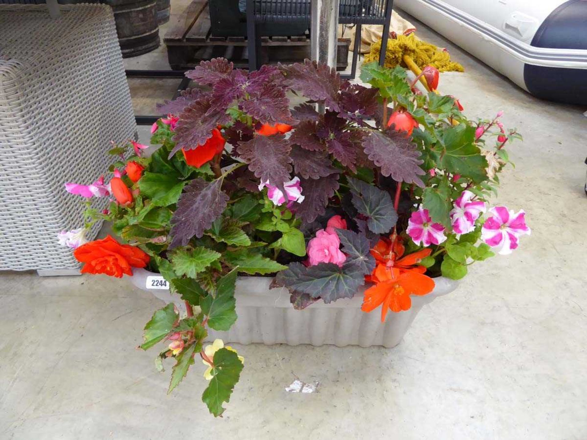 Trough containing mixed plants