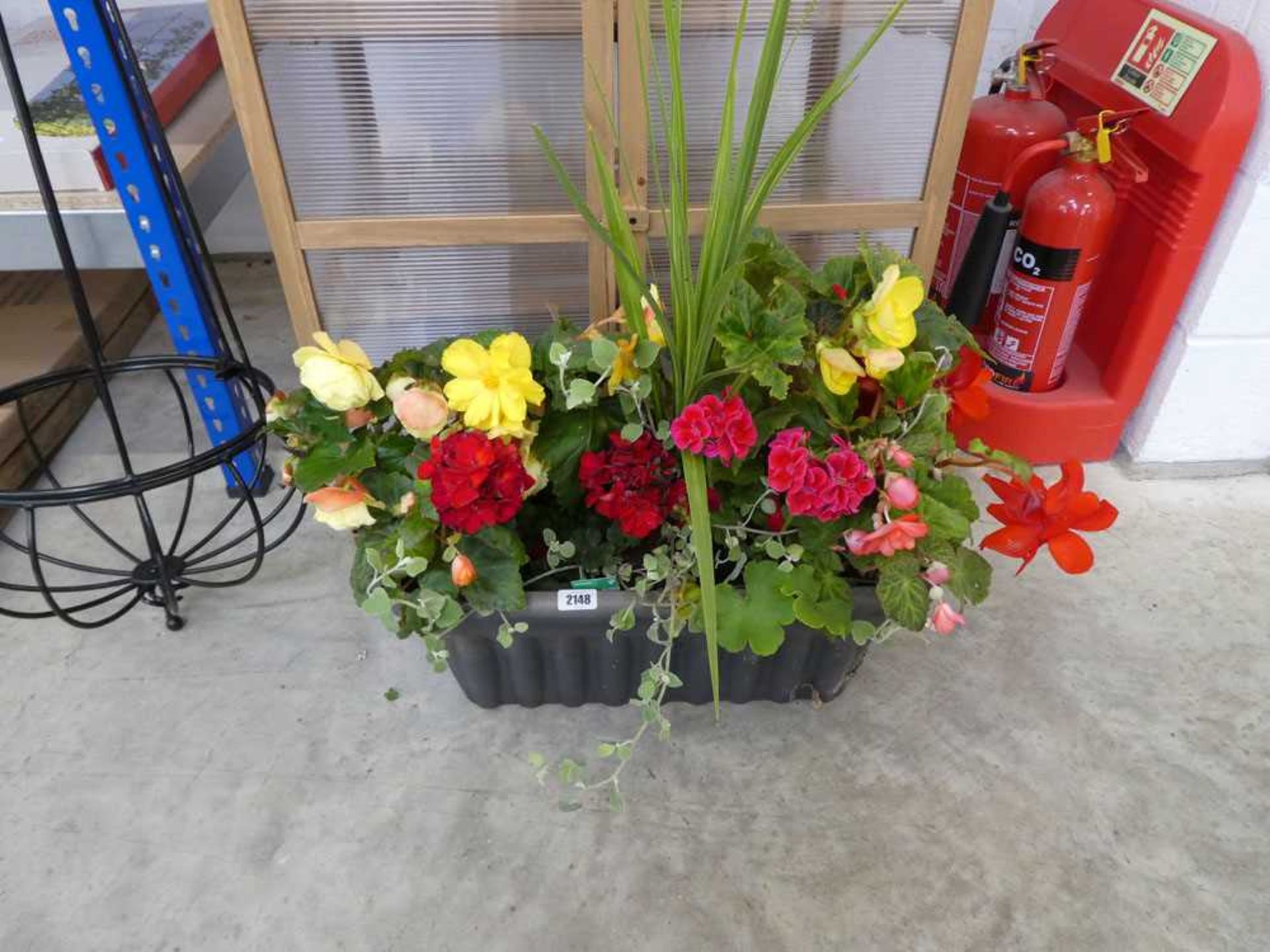 Large trough containing mixed plants