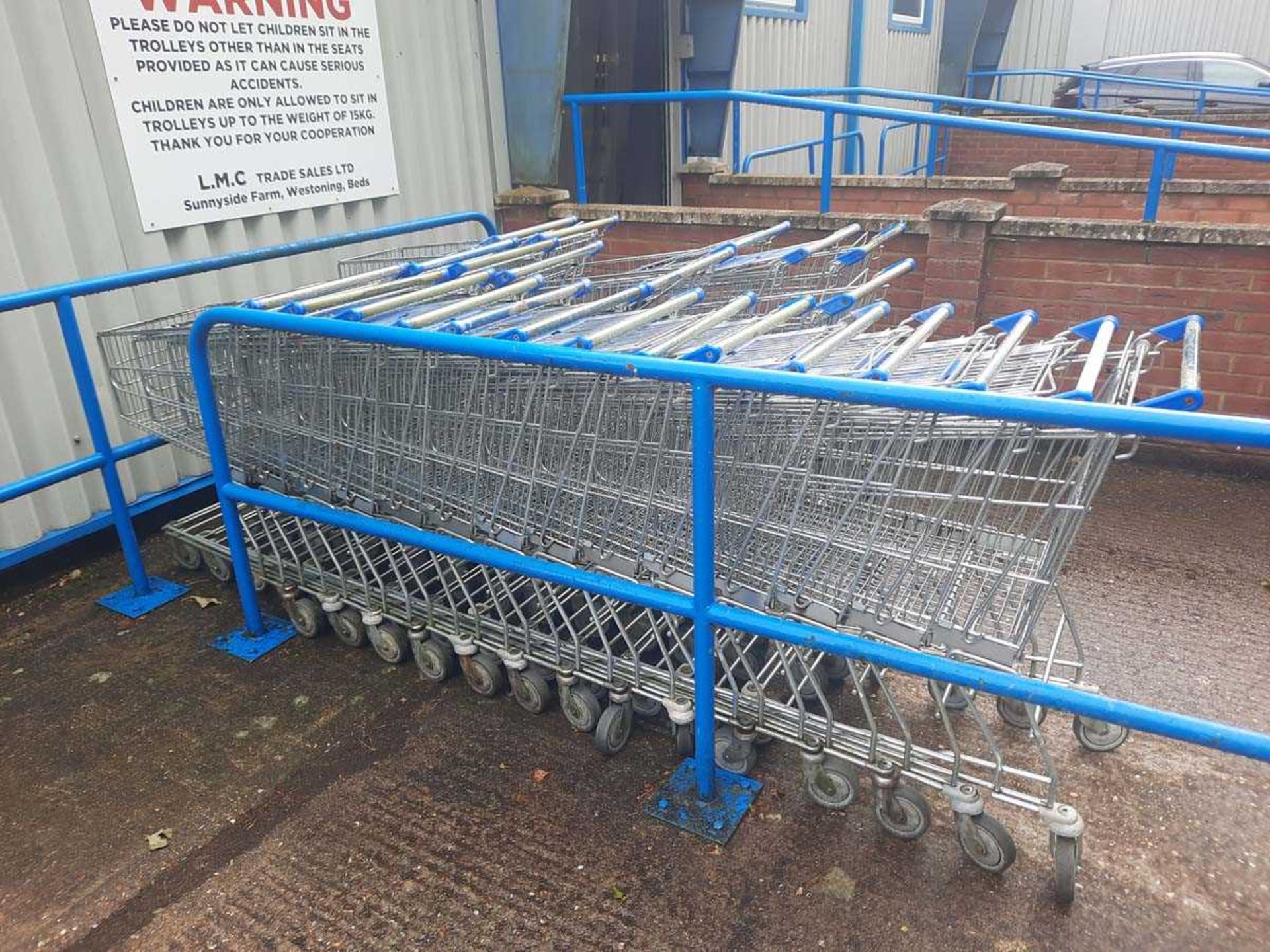 +VAT Twenty-seven full sized shopping trolleys plus four children's shopping trolleys - Image 3 of 4
