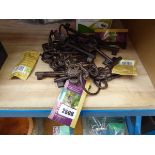 Qty of metal gardeners keys