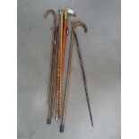 Qty of walking sticks plus a vintage tennis racket and squash racket