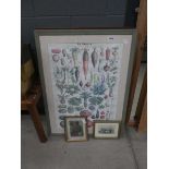 3 x honey bee, pasta and vegetable posters plus 2 x engravings, birds eggs and figure by fire